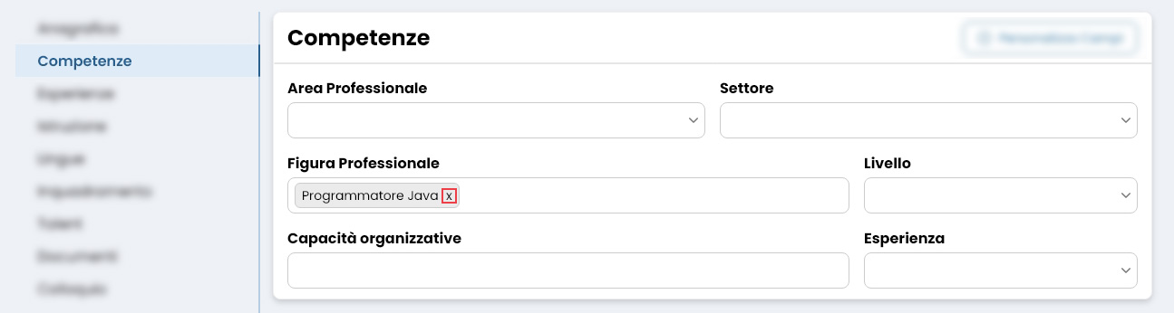 Performa Recruit Scheda Candidato competenze